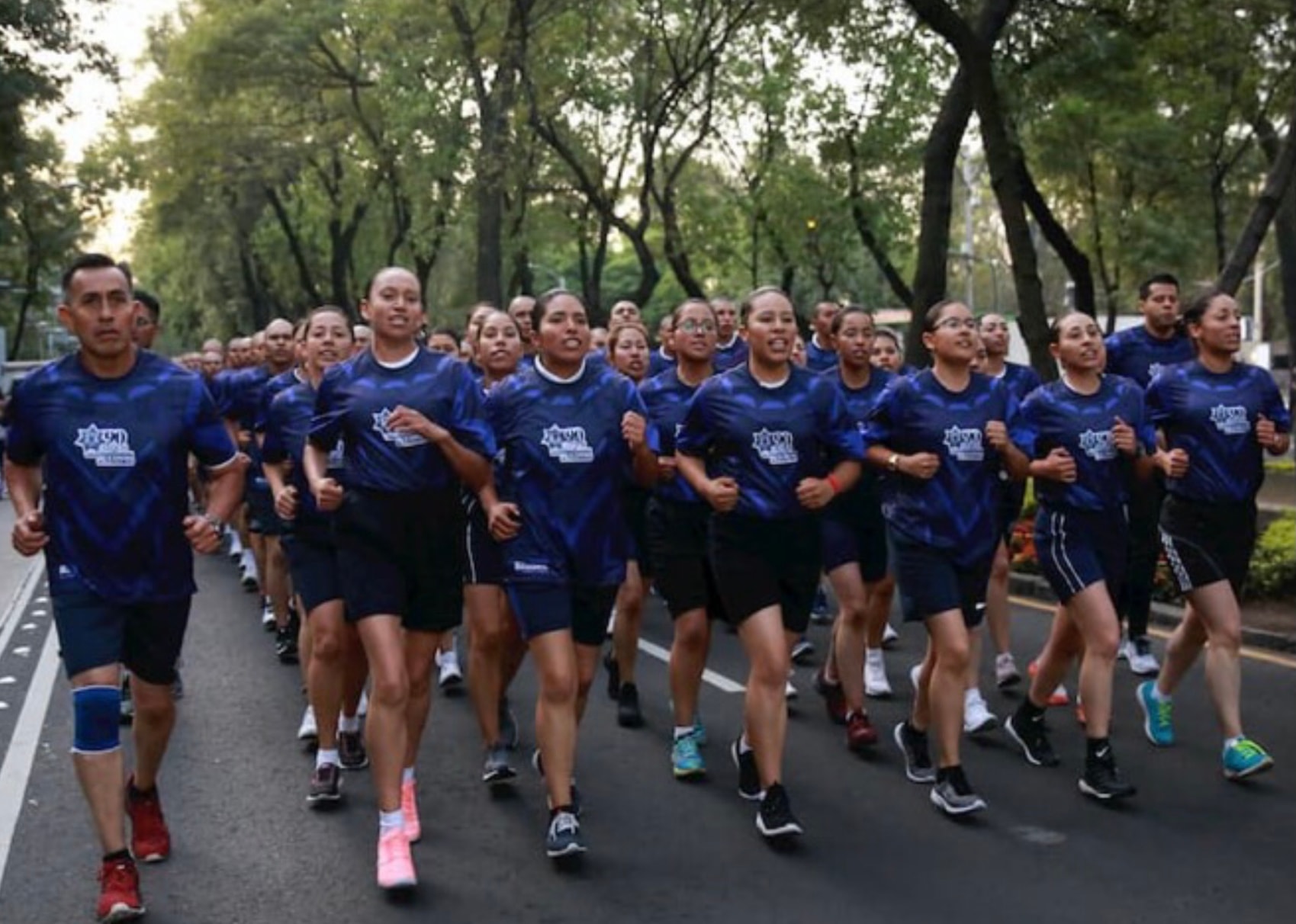 Federal Police Race 2018 — runners in blue shirts on tree-lined avenue